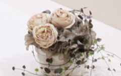 私たちについて